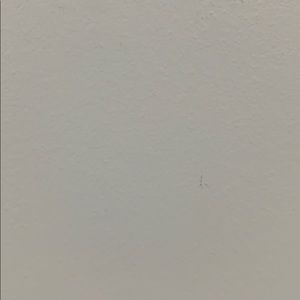 Meet your Posher, Yolanda